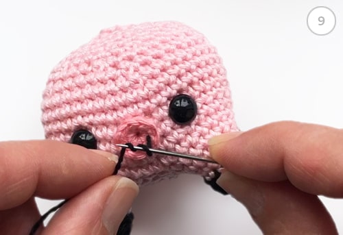 Embroidering nostrils with french knots.